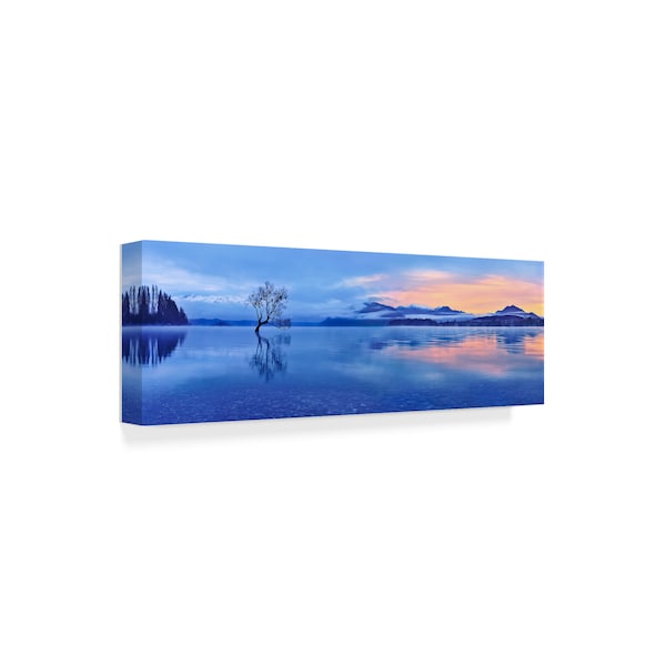 Mei Xu 'Lake Wanaka' Canvas Art,10x32